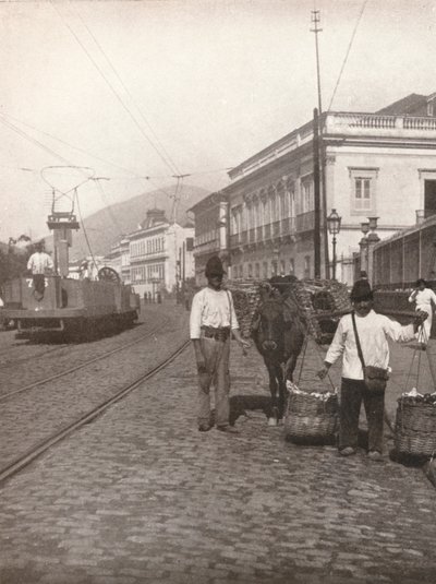 1914年，里约热内卢的Botafogo街景 作者 不明