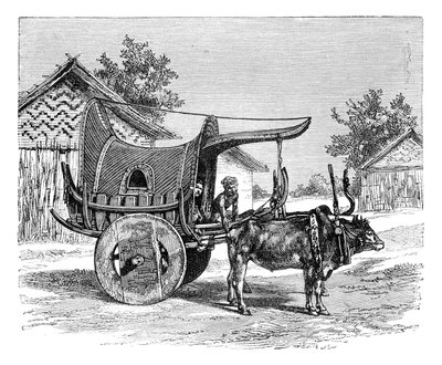 缅甸的缅甸货车，1895年 作者 不明