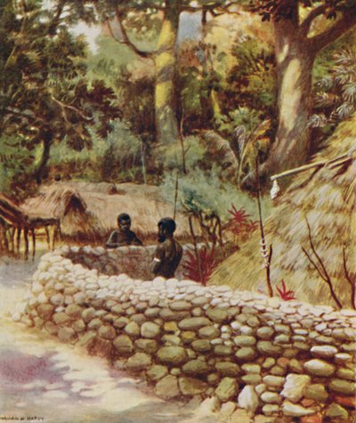 酋长之家，新赫布里底，1923年。 作者 不明