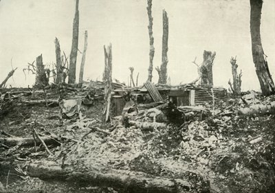 西尔伍德（Sylvan Wood）的原著，1919年。 作者 不明