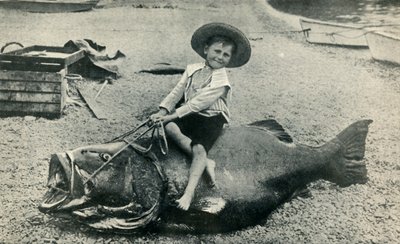可疑的马！ -黑海鲈鱼-体重363磅，1901年。 作者 不明