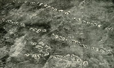 横跨无人区的步兵进攻，1919年。 作者 不明