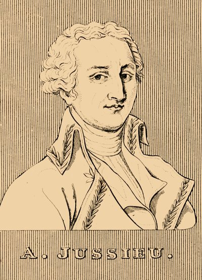 朱塞厄（A. Jussieu），1748-1836年，1830年。 作者 不明