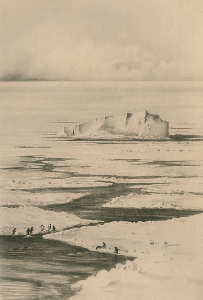 包装中的铅，c19101913，1913年 作者 不明