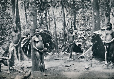 刚果民主共和国东北盆地一个侏儒村，1912年 作者 不明