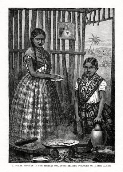 墨西哥Tierras Calientes的乡村厨房，1877年 作者 不明