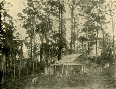 乡村住宅，1901年。 作者 不明