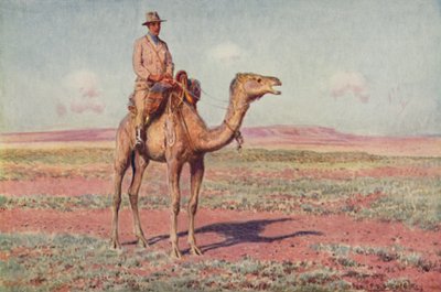 1923年，澳大利亚中部一景。 作者 不明