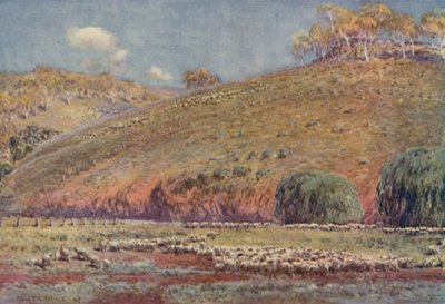 《奔跑的绵羊》，1923年。 作者 不明