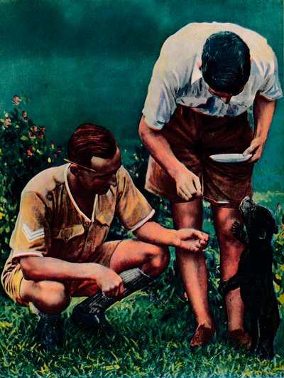 英国皇家空军的新加坡吉祥物，1940年 作者 不明