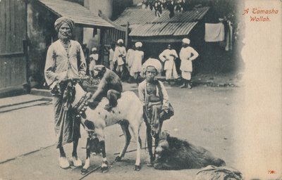 塔玛莎·沃拉（Tamasha Wallah）。 作者 不明