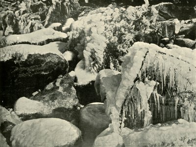 1901年在新英格兰的冬季场景。 作者 不明