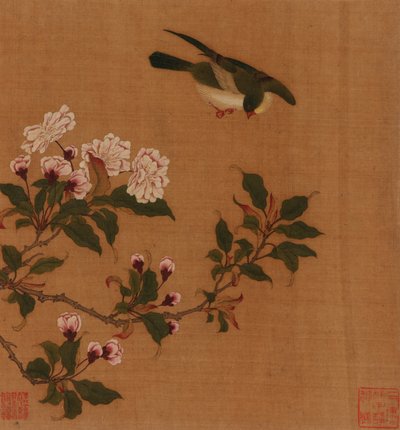 一只鸟在开花的树枝上盘旋，清代，18世纪。 作者 不明