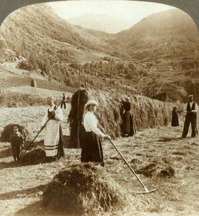 做在一个晴朗的领域的一个农夫家庭干草在山之间，Roldal，挪威，c1905。 作者 不明