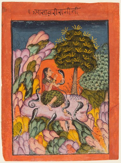 Ragamala系列的一页：Asavari Ragini，1700年代初。 作者 不明