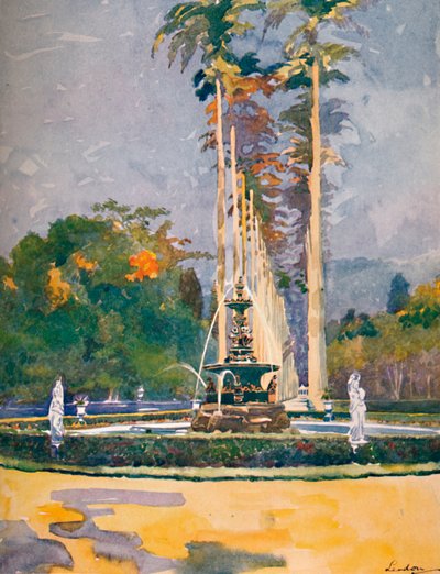 植物园皇家棕榈大道的一部分，1914年 作者 不明