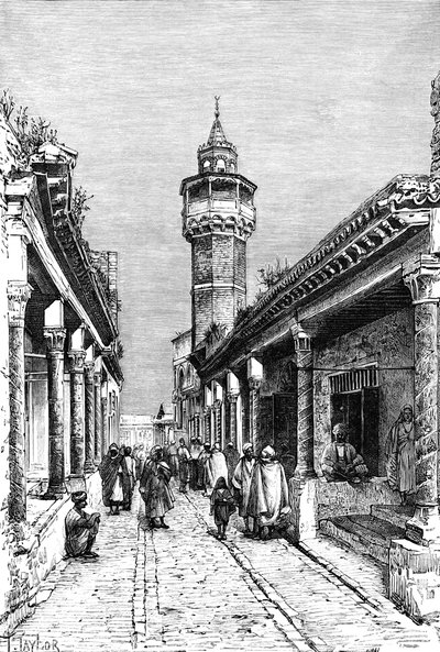 突尼斯Suk区的一条街，1895年 作者 不明