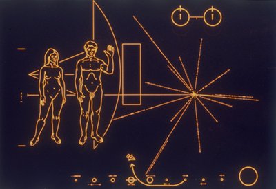 友谊的普遍信息，1977年 作者 不明