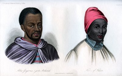 阿巴斯·格里高利厄斯（Abbas Gregorius）和豪萨人（Hausa），1848年 作者 不明