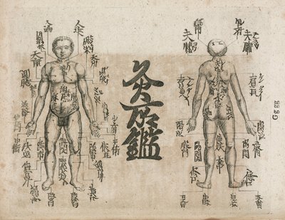 艾灸图显示应该避免烧焦的地方 作者 不明