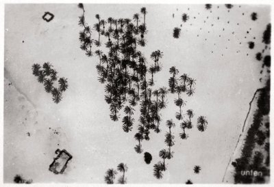 1931年1933年从齐柏林飞艇在阿拉伯沙漠中棕榈阴影的鸟瞰图 作者 不明