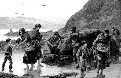 饥荒的后果，爱尔兰1840年代，1886年 作者 不明
