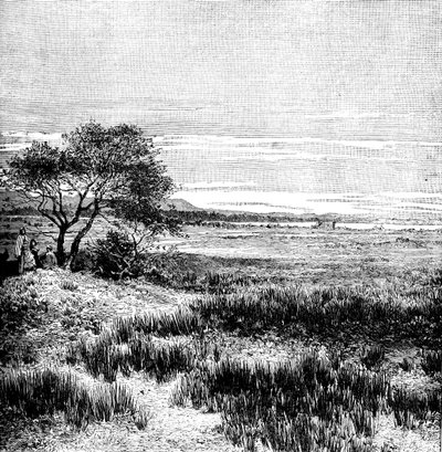 阿根廷中部潘帕阿格哈山谷（Agha Valley），1895年 作者 不明