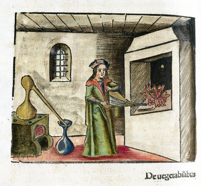 Alchimie 16e siecle: un alchimiste au travail, activant un soufflet devant la cheminee de son atelier, derriere lui, un poele et un alambic 作者 不明