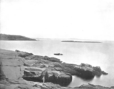 沿海岸，美国缅因州巴港，摄于1900年。 作者 不明