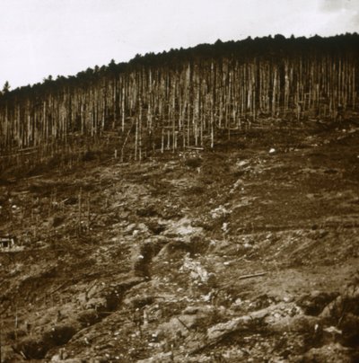 阿尔萨斯（Alsace），c1914-c1918 作者 不明