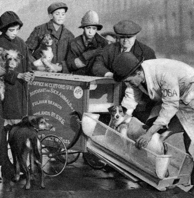1926-1927年，伦敦，贫困动物病房的救护车 作者 不明