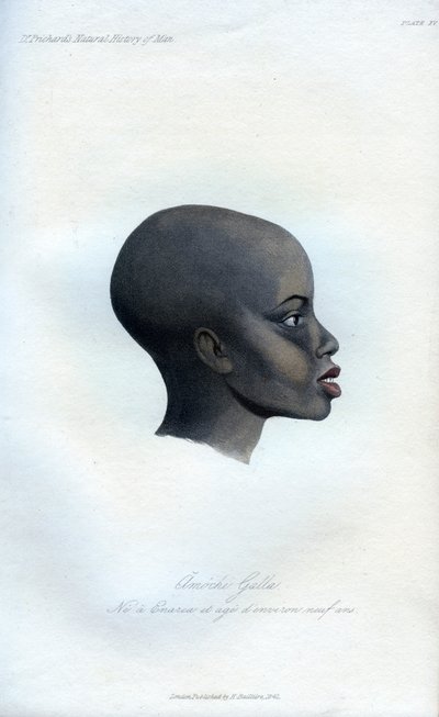 Amochi Galla，加拉的肖像，1848年 作者 不明