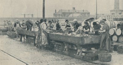 该行业的重要组成部分。 1937年，苏格兰女孩忙于在雅茅斯（Yarmouth）内衬 作者 不明