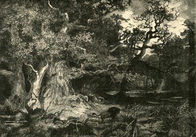 老德国森林，1890年。 作者 不明