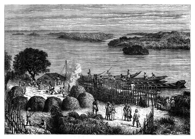 1890年，非洲刚果河上的营地 作者 不明