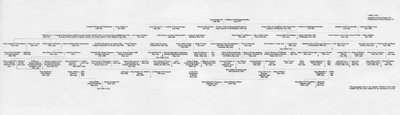 1964年爱德华七世国王的祖先和家庭联系 作者 不明