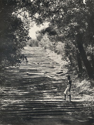1926年，Mihintale的石阶开始 作者 不明