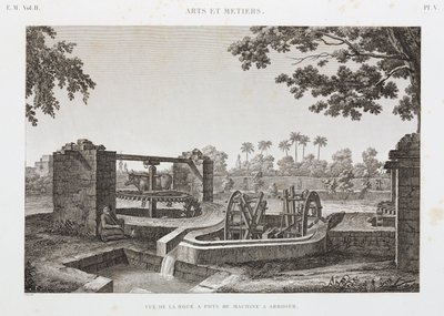 Animal Power Wheel and bucket irrigation system, Egypt, c 1798 作者 不明