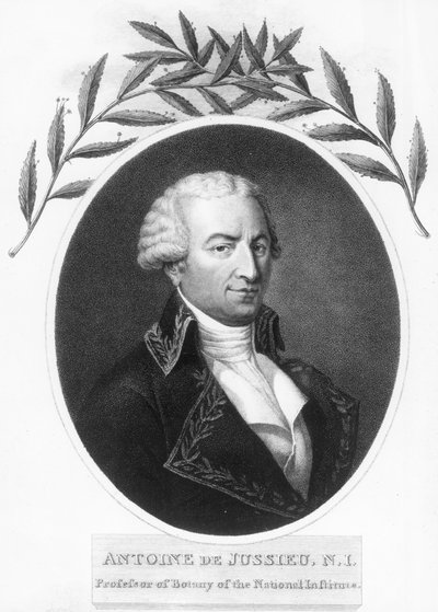 Antoine de Jussieu，18世纪法国植物学家，1807年 作者 不明