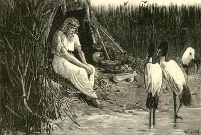隐藏在三角洲沼泽地中的阿尼西斯（Anysis），1890年。 作者 不明