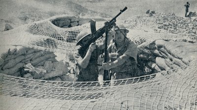 1940年，1940年，埃及的安扎奇卫队 作者 不明