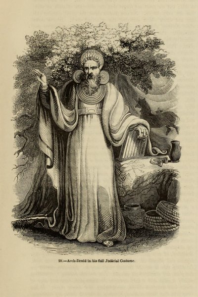 大德鲁伊身着全套司法服装，摘自《老英格兰：绘画博物馆》一书，1845年 作者 不明
