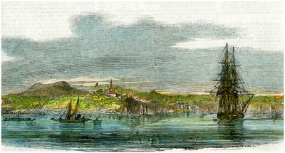 新西兰奥克兰，c1880 作者 不明