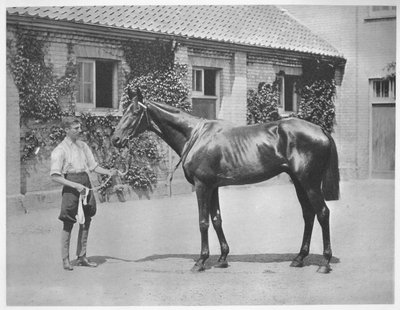 1911年澳大利亚之星 作者 不明