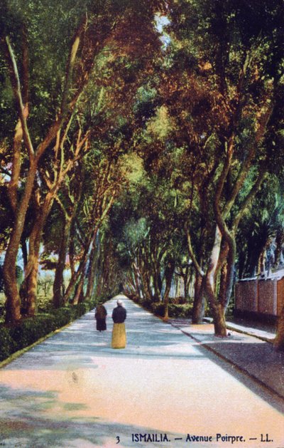 埃及伊斯梅利亚Poirpre大道，约建于1900年 作者 不明