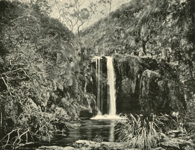 Back Creek Falls，维多利亚州布坎河，1901年。 作者 不明