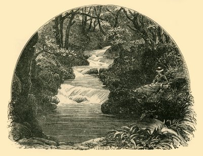 Bagworthy Waterslide，1898年。 作者 不明