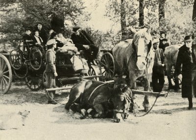 1939年至1940年，1941年，比利时道路上的难民。 作者 不明