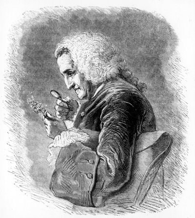 Bernard de Jussieu，18世纪法国植物学家，1880年 作者 不明