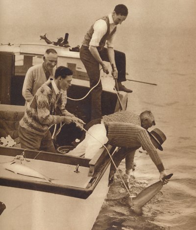 捕捞大猎物，新西兰岛屿湾，c1927，1937年 作者 不明